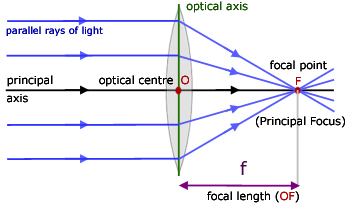 A labelled example of a typical optical diagram.