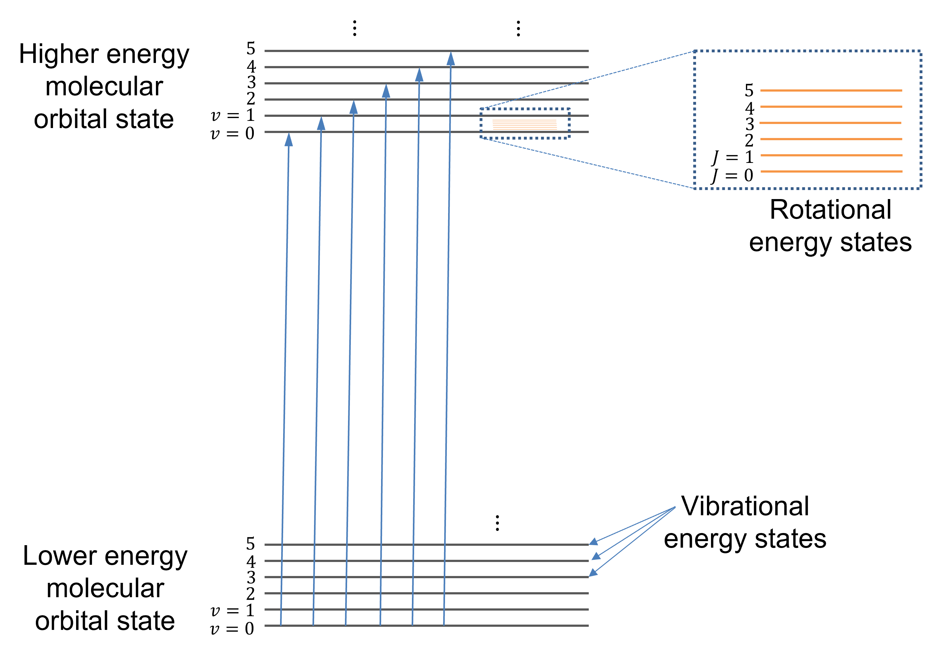 Energy states of a molecule i much richer than that of an atom.The
allowed vibrational and rotational motion contributes to finely distributed
energy levels within each electronic molecular orbital state.